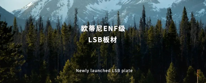 歐蒂尼ENF級LSB板材：打造綠色環保家居新標桿